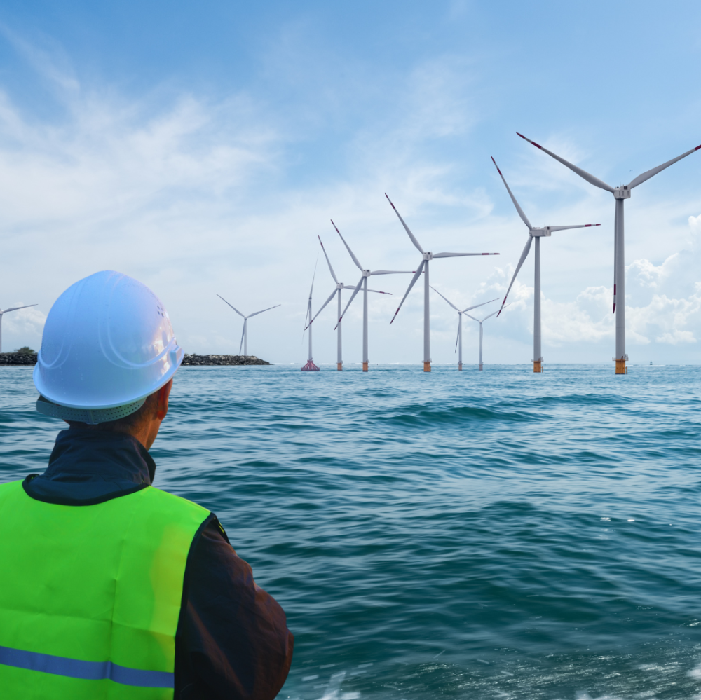 Les éoliennes, ressources marines au potentiel encore peu exploité 
